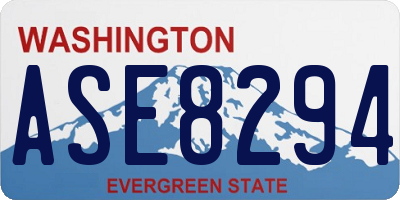 WA license plate ASE8294
