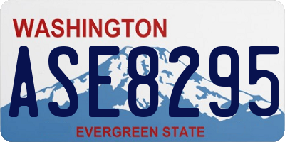WA license plate ASE8295
