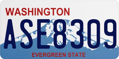 WA license plate ASE8309
