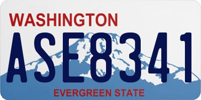 WA license plate ASE8341