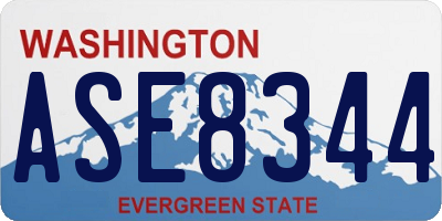 WA license plate ASE8344