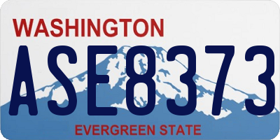 WA license plate ASE8373