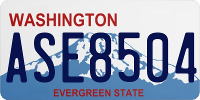 WA license plate ASE8504