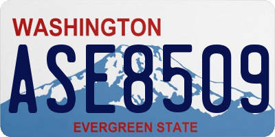 WA license plate ASE8509