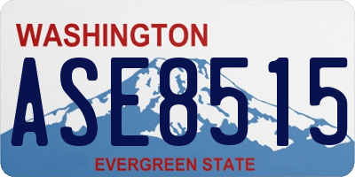 WA license plate ASE8515