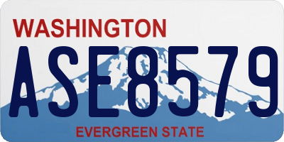 WA license plate ASE8579