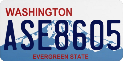WA license plate ASE8605