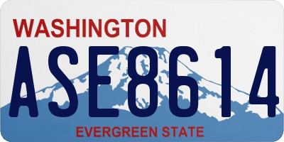 WA license plate ASE8614