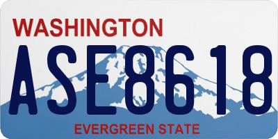 WA license plate ASE8618