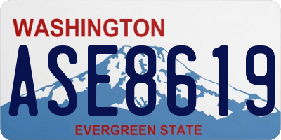 WA license plate ASE8619