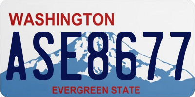 WA license plate ASE8677