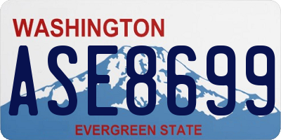 WA license plate ASE8699