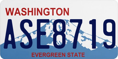 WA license plate ASE8719