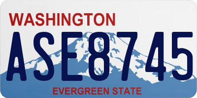 WA license plate ASE8745