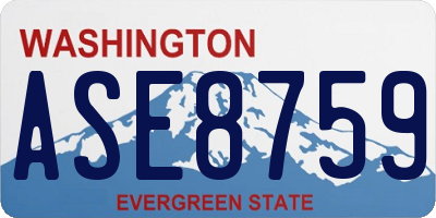 WA license plate ASE8759
