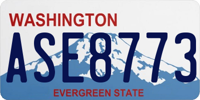 WA license plate ASE8773
