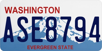 WA license plate ASE8794