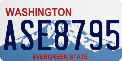 WA license plate ASE8795