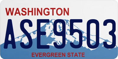 WA license plate ASE9503