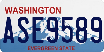 WA license plate ASE9589
