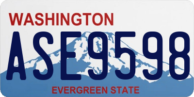 WA license plate ASE9598