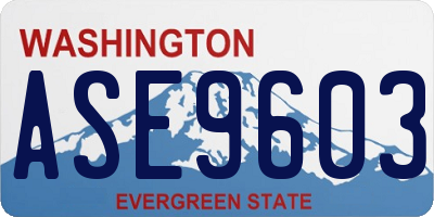WA license plate ASE9603