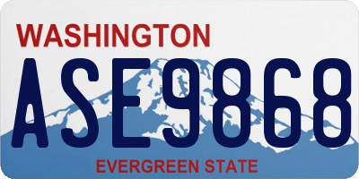 WA license plate ASE9868
