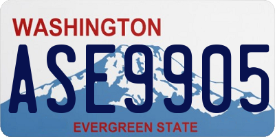 WA license plate ASE9905