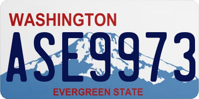WA license plate ASE9973