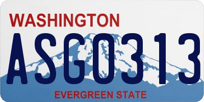 WA license plate ASG0313