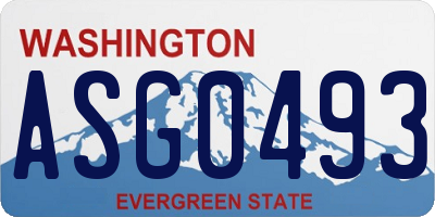 WA license plate ASG0493