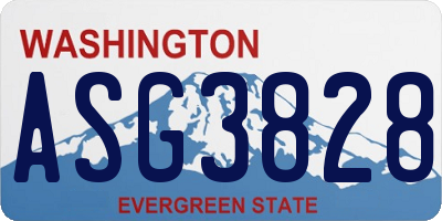 WA license plate ASG3828