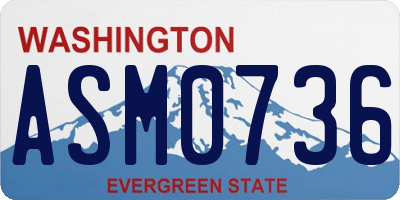 WA license plate ASM0736