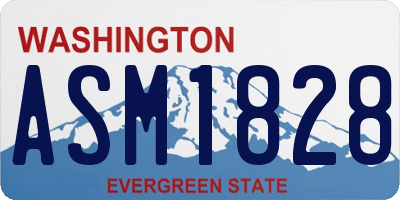 WA license plate ASM1828