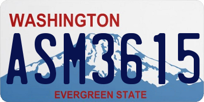 WA license plate ASM3615