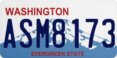 WA license plate ASM8173