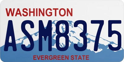WA license plate ASM8375