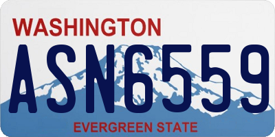 WA license plate ASN6559