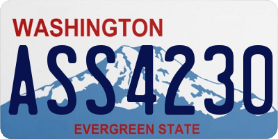 WA license plate ASS4230