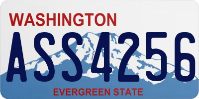 WA license plate ASS4256