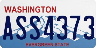 WA license plate ASS4373
