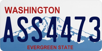 WA license plate ASS4473