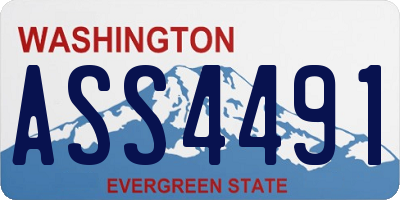 WA license plate ASS4491