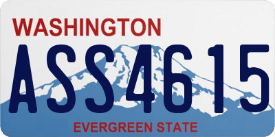 WA license plate ASS4615