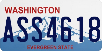 WA license plate ASS4618