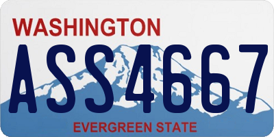 WA license plate ASS4667