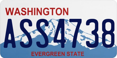 WA license plate ASS4738