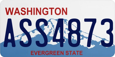 WA license plate ASS4873