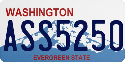 WA license plate ASS5250