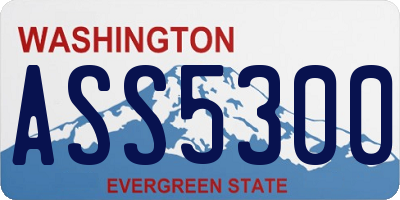 WA license plate ASS5300